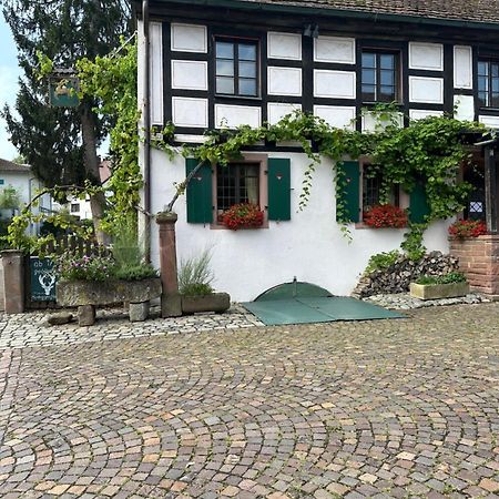 Exklusive Maisonette-Wohnung Am Rande Von Freiburg Merzhausen Dış mekan fotoğraf
