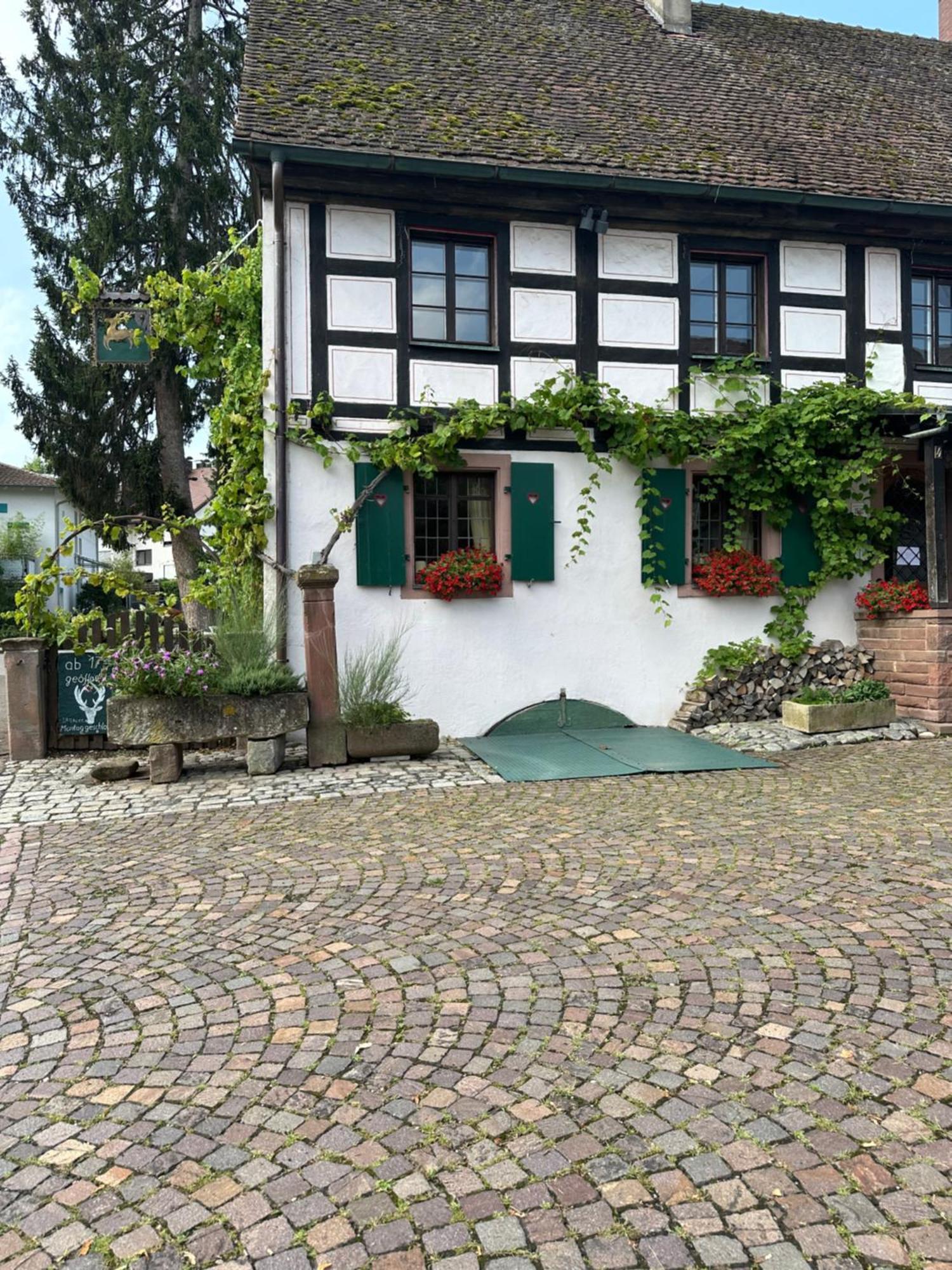 Exklusive Maisonette-Wohnung Am Rande Von Freiburg Merzhausen Dış mekan fotoğraf